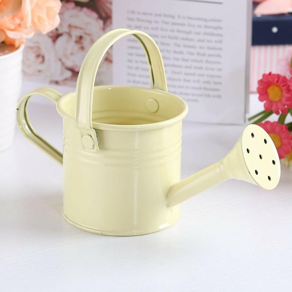 Home Kawaii Mini Water Spraying Pot Flower Kettle Metal Watering Can