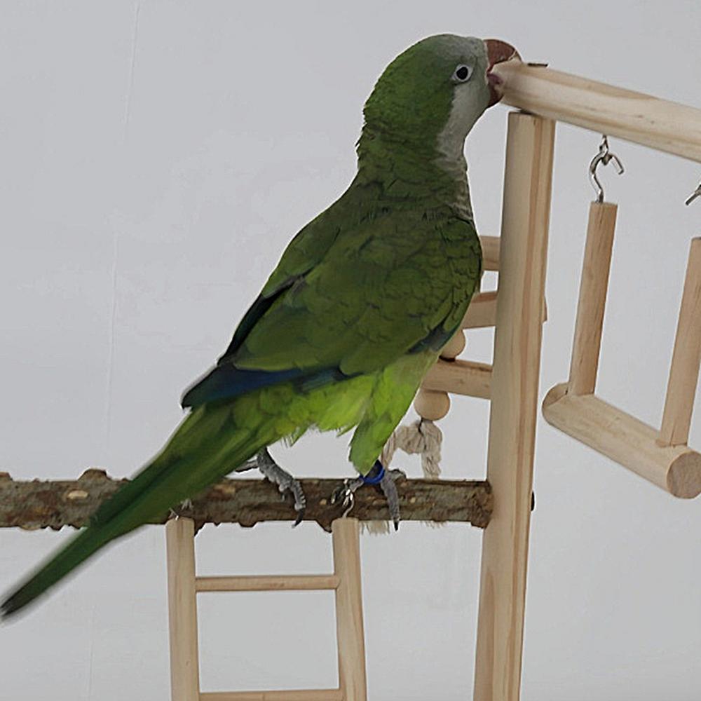 Parrot Play Gym Perch Gym With Tray And Cups Bird Perches Exercise Play Gym Bird Toys For Cockatiel Parakeet