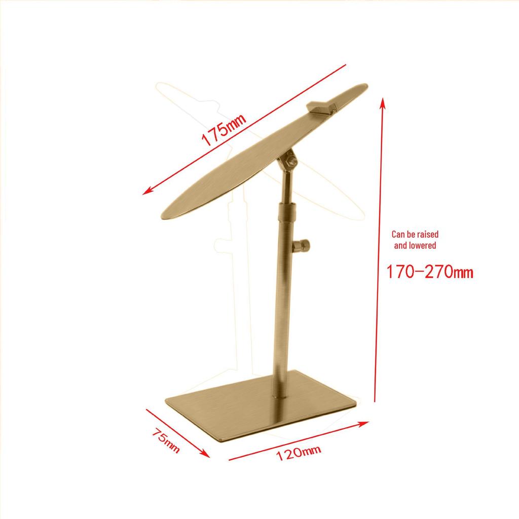 Stainless Steel Shoe Display Rack for High Heels and Shoe Support Stand