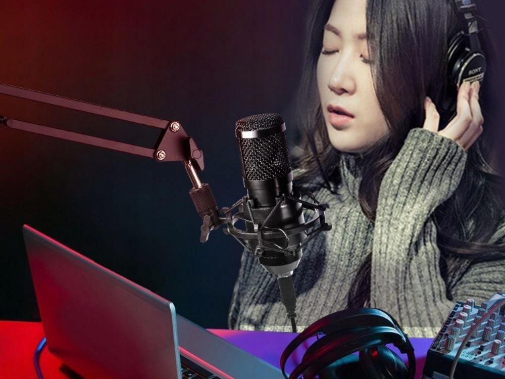 Microphone With Usb Holder Bm800 3.0M (12)
