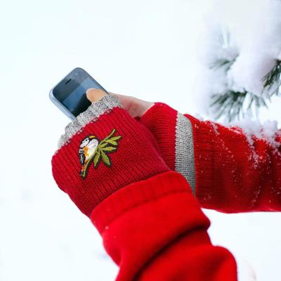 Bestickte Vögel Fingerlose Handschuhe Farbblock Gestrickte Warme Handschuhe Dehnbare Fäustlinge mit Daumenlöchern zum Tippen Schreiben