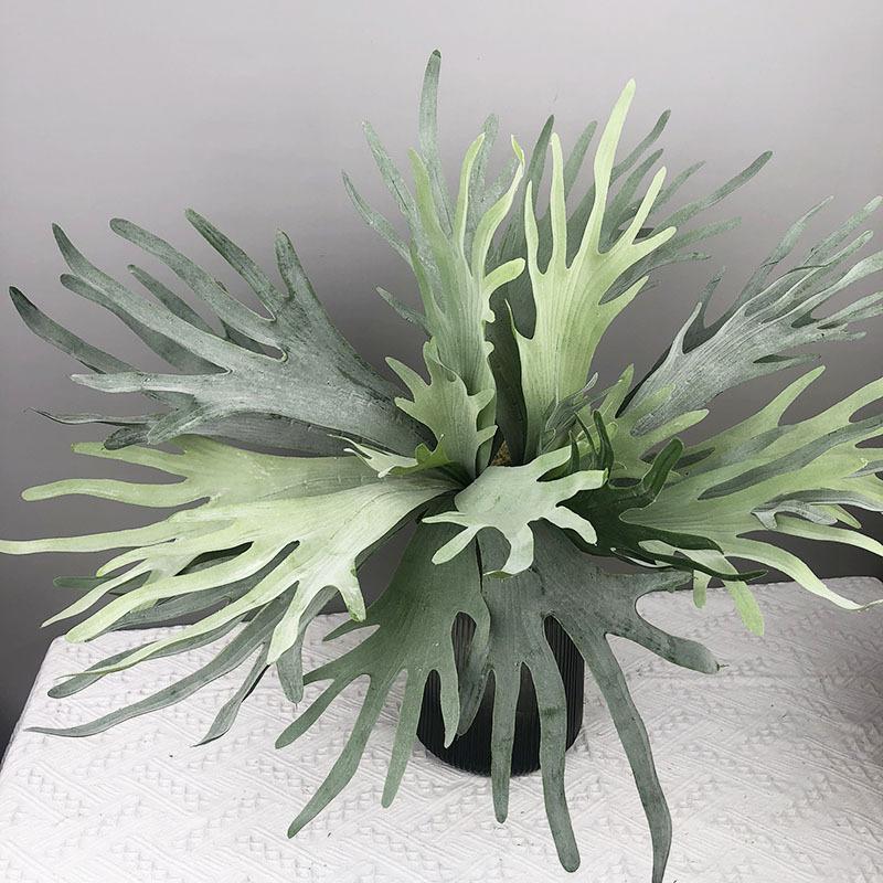 New Artificial Deer Antler Leaves Pteridophyte Artificial Flower Succulents Plants for Home Wedding Outdoor Floor Decoration