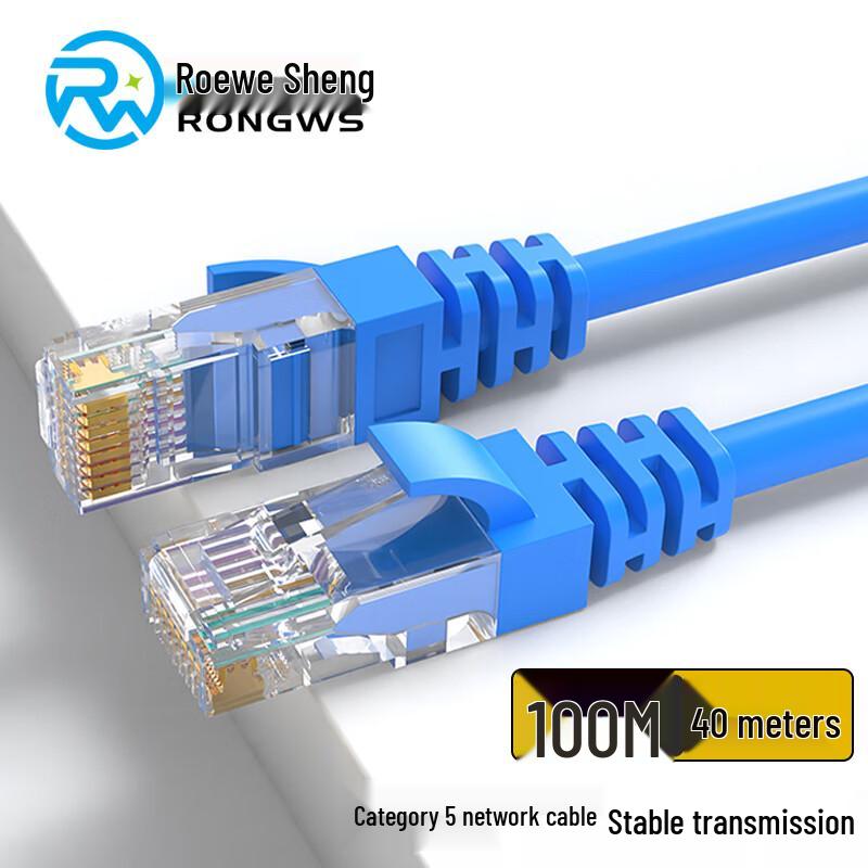Rongweishing Cat5 100Mbps RJ45 Ethernet Patch Cable