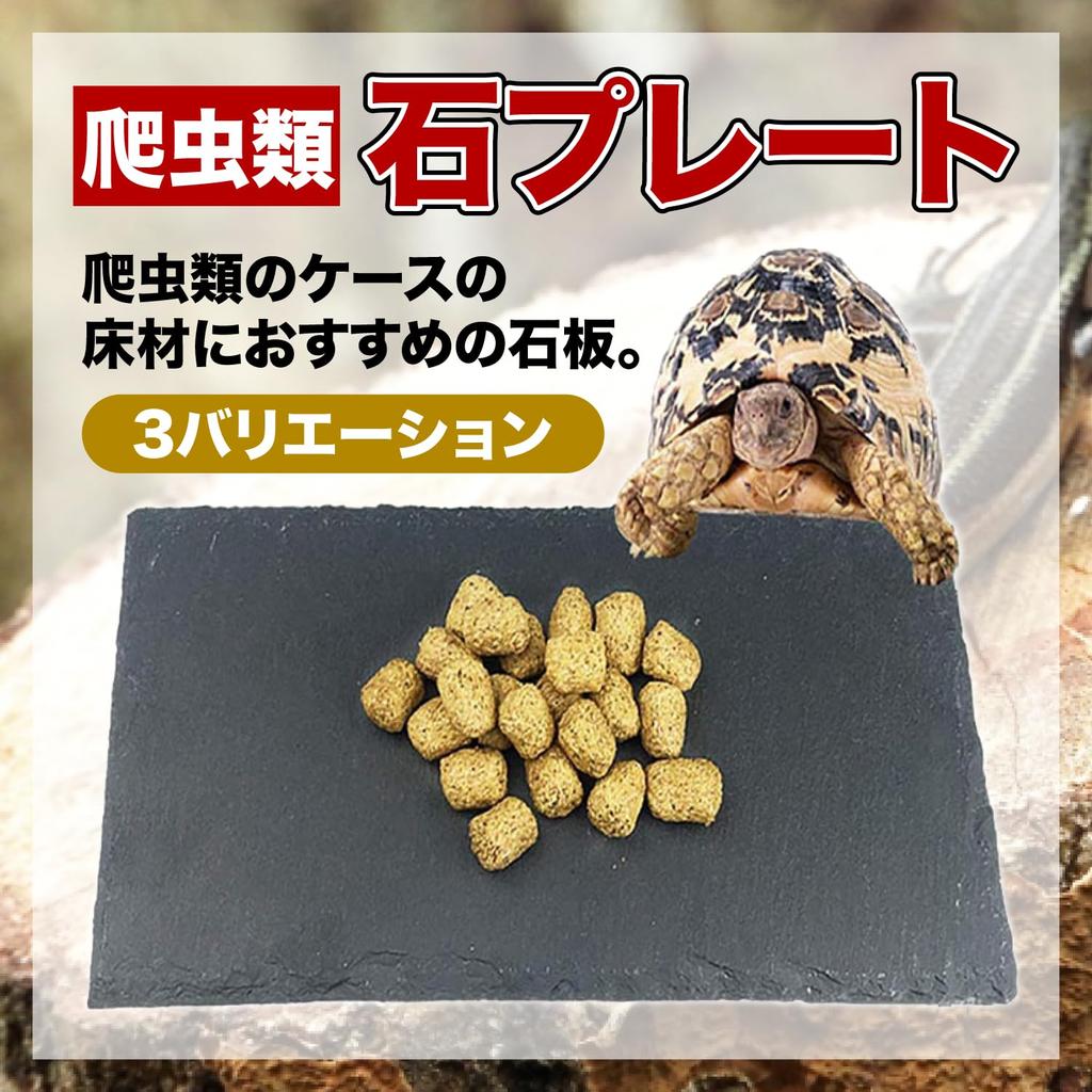 FJmark Reptile Turtle/Tortoise Drying Bedding Plate, Food Plate, Nail Polisher, Heat Insulation, Moisturizing (20x20cm), Set of 3