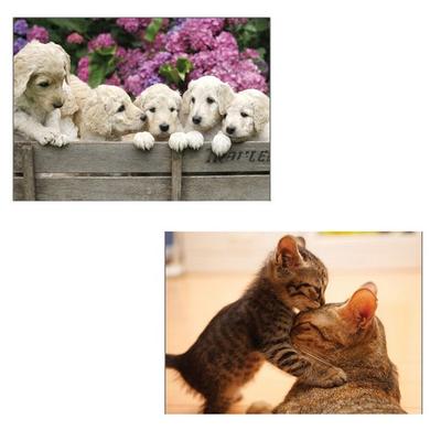 Puzzle Korea Jigsaw Puzzle Set of 2, Korean Popular Puzzles