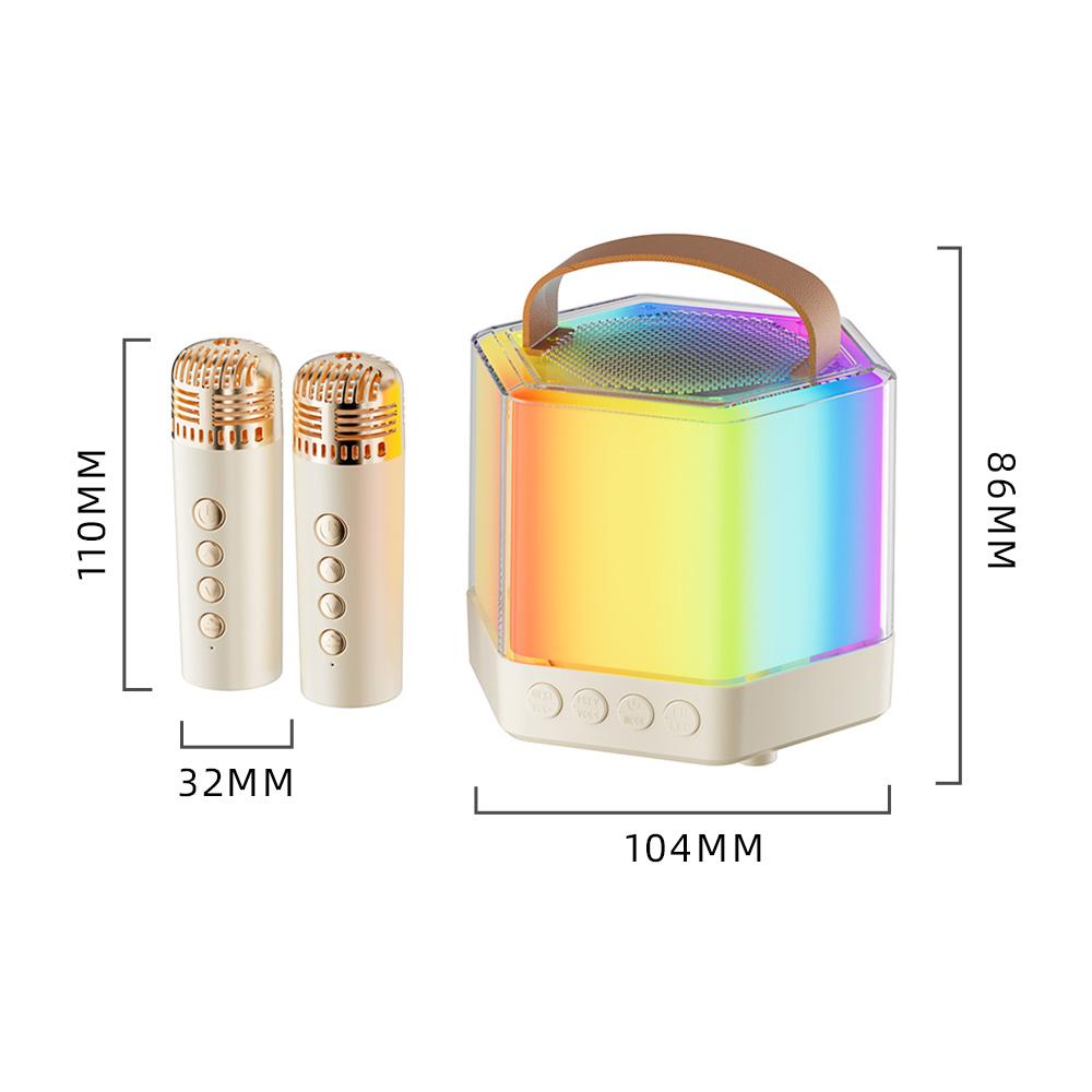 Karaoke Machine Mini Wireless Microphone and Speaker Set with 2 Microphone RGB Color Light Handheld