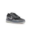 Nike PS8 SB Cool Grey Metallic Silver Men Sneakers Anthracite Wolf-Grey Clear FV8493-002