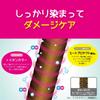 Dip Color Silver Color Treatment 500g Color Butter [Overwhelming Value] Tottimo!
