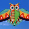Durable Owl Kite For Kids Outdoor Activities Colorful Long Tail Design High Wind Resistance Fiberglass Frame Easy Assembly Foldable Travel Toy
