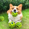 Pet Balls Cat Dog Animal Teething Balls Battery-Free Self-Heeling Weird Balls Training Pet Toys