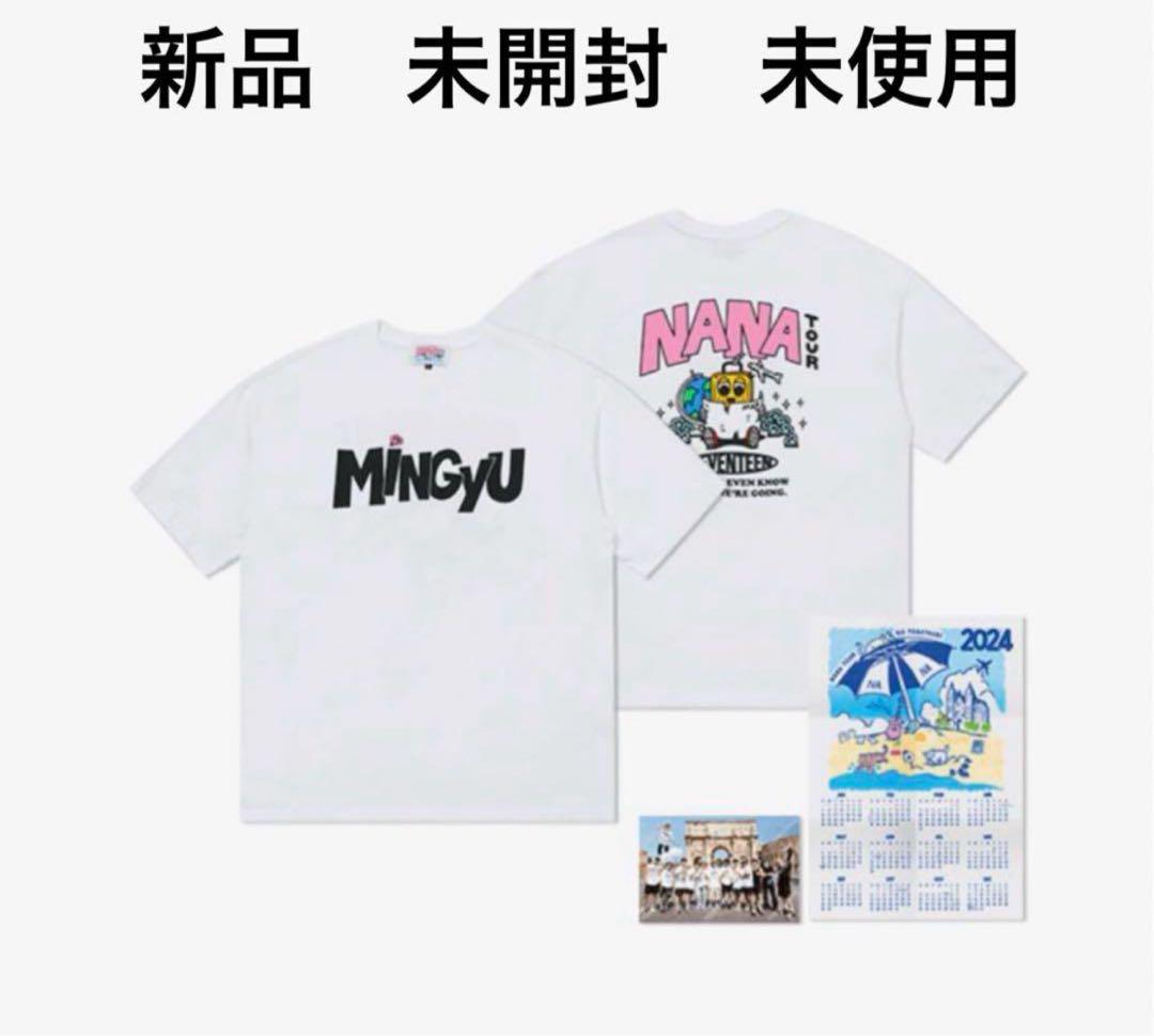 

[USED] SEVENTEEN Nana Tour T-shirt Mingyu NANA Tour