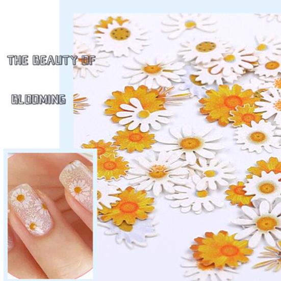 50 Pcs/Box Exquisite Nail Accessories Waterproof Wood Pulp Dried Flowers Sticker Patch