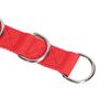 Multi Loop Buckle Pet Grooming Strap Sturdy Webbing Pet Walking Lead  Pet Salon Groom