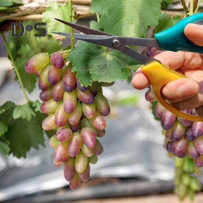 Tijeras de podar de acero inoxidable con mango suave, tijeras de podar multifuncionales para jardín con cabezal inclinado o recto para podar frutas en el jardín