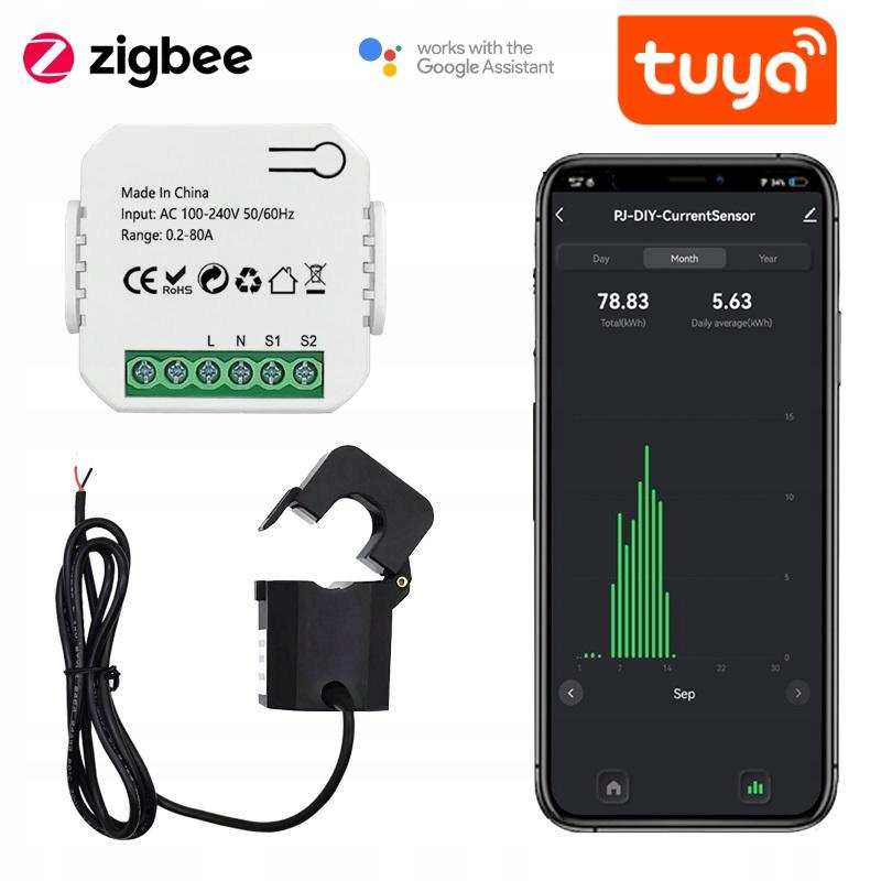Dopuszkowy Licznik Energii Pętla Zigbee Z Klamrą