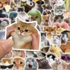 10/30/50pcs Cute Funny Animal Cat Meme Stickers Kawaii Kitten Graffiti Sticker DIY Scrapbook Phone Luggage Diary Decals Toy Gift