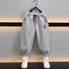 Boys' Sporty Hooded Jacket & Sweatpants Set - Spring/Autumn 2025