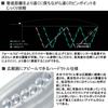 Daiwa Emeraldas Rattle Purple Watermelon Poison Lure 3.5