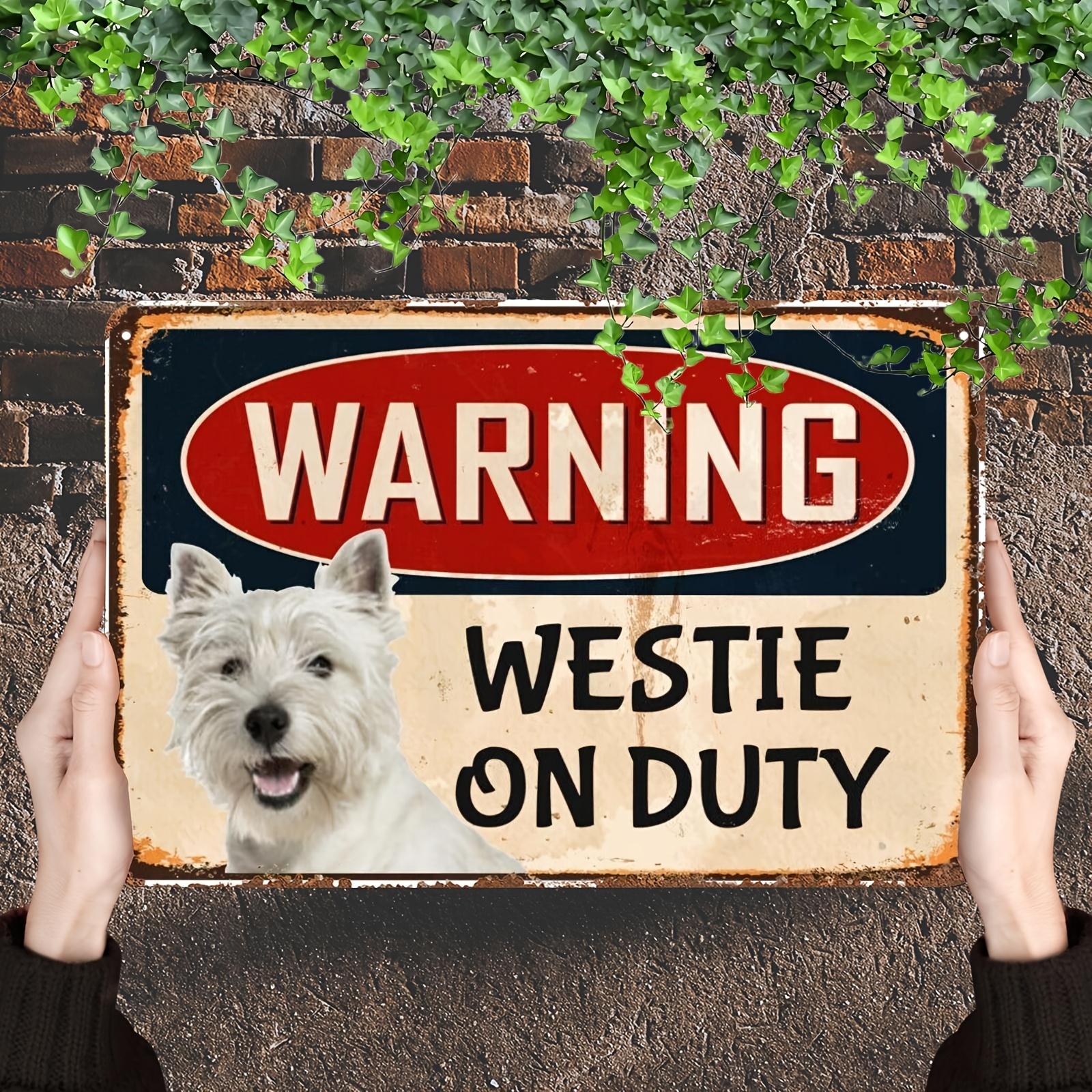 

D Flat d flat Halloween Witch Property Warning Signs Vintage Style Decorative Metal Painting Card X Wall Hanging M 20x30cm（7.8x11.8inch）