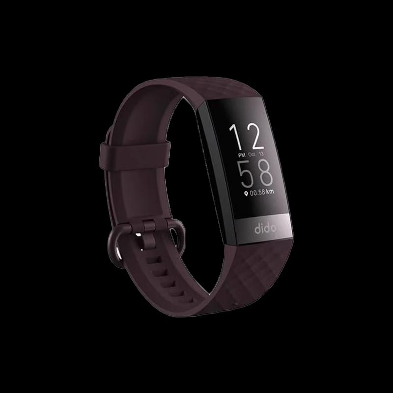 dido R66s Smart Health Monitoring Wristband (CN version)