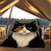1pc Calico Cat Outdoor Flannel Blanket Soft All Season Polyester Throw , Perfect for Picnics & Travel , Picnic Accessory