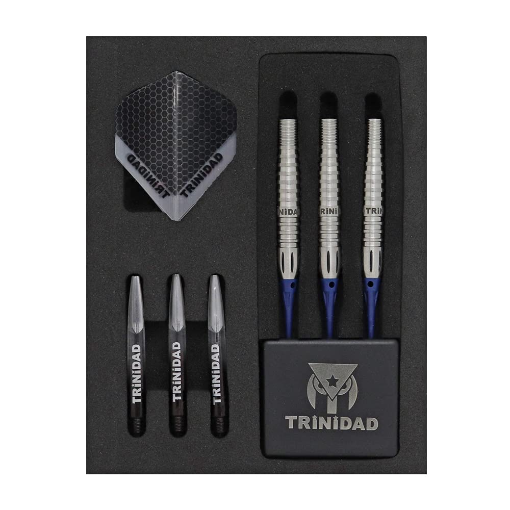 TRiNiDAD PRO Trinidad Professional Chavez Type3 Chavez Type 3 2BA Shunsuke Sagara Player Model Dart Barrel Dart Set