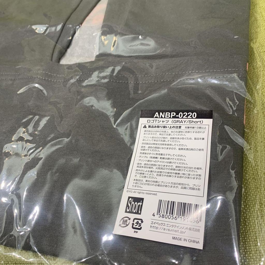 [USED] BLACK PINK Official Logo T-Shirt Gray Short