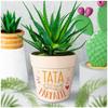 Les Trésors De Lily [R6638] - Bamboo Planter 'Tata Plus Que Parfait' Orange Beige - 14x12 Cm