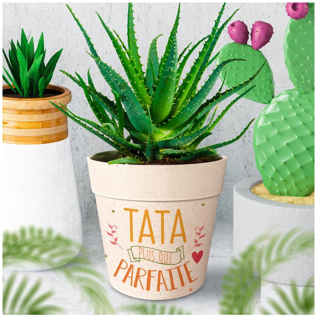 Les Trésors De Lily [R6638] - Bamboo Planter 'Tata Plus Que Parfait' Orange Beige - 14x12 Cm