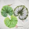 30cm Artificial Begonia Leaves for Home Decoration and Live Broadcast Props, Large Potted Plant and Lotus Leaf Accessories.