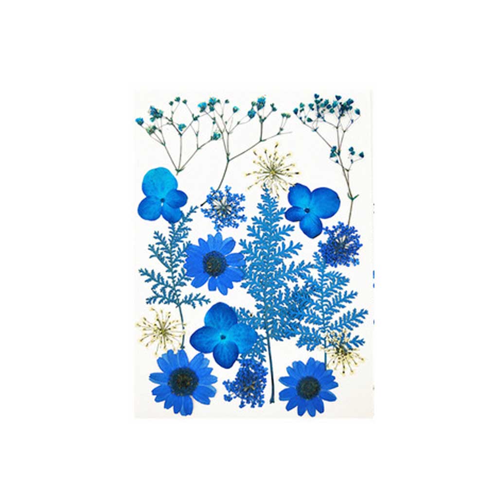 

Натуральная смола сухие растения свадебное украшение для вечеринки украшение стола искусство ногтей прессованные цветы наклейки кулон ожерелье