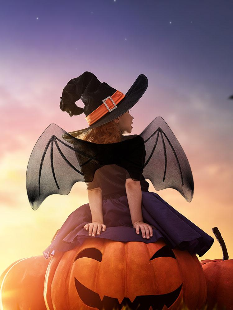 Black Mesh Bat Wings 60x28cm Halloween Party Costume Prop