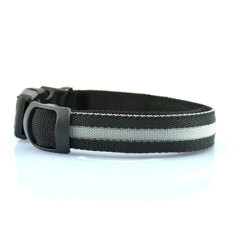 Collare LED per Cani Anti-smarrimento/evita Incidente d'Auto Collare per Cani Ricarica USB Forniture Guinzaglio Collare per Cani Articoli per Animali Domestici