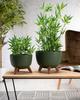 Donica Rosa Linea Eco Wood Zielona
