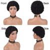 African Curl Fairy Short Synthetic Wig Curly Hair For Black Women Fashionable European Style Curly Hairpiece Perfect For Every Occasion