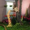 Solar-Sterne für den Außenbereich, Gartenkunst, Licht, Gartengießkanne, String, ausgehöhlte Eisendusche, LED-Leuchten, Lampe, Hausgarten-Dekoration