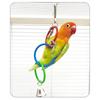 Plastic Bird Swing Toys Colorful Bird Exercise Play Toy Parrot Climbing Ring  Birdcage Accessories