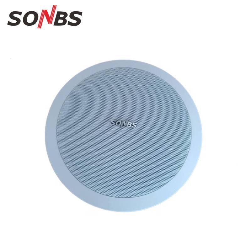 Sheng Boshi 100W Ceiling Speaker (CN version)