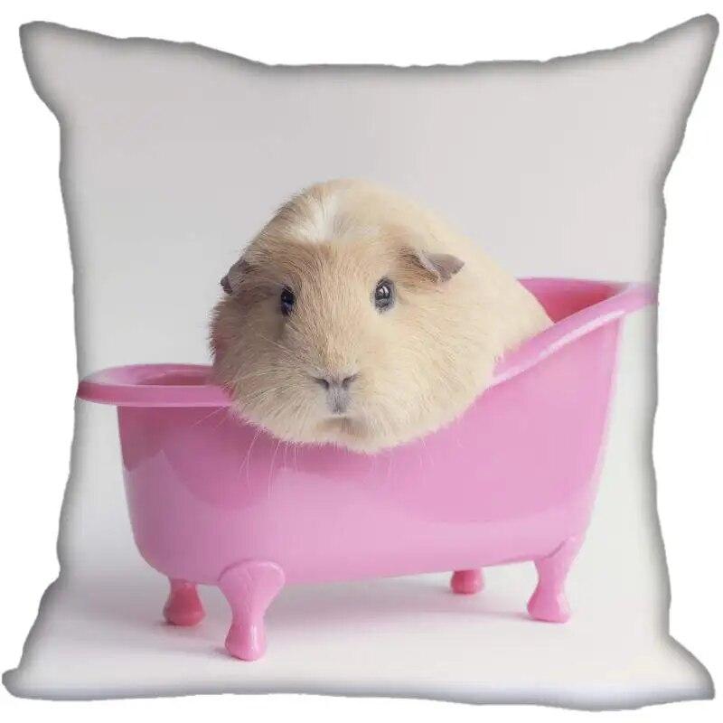 Living Room Pillowcase Guinea Pig   Modern Home