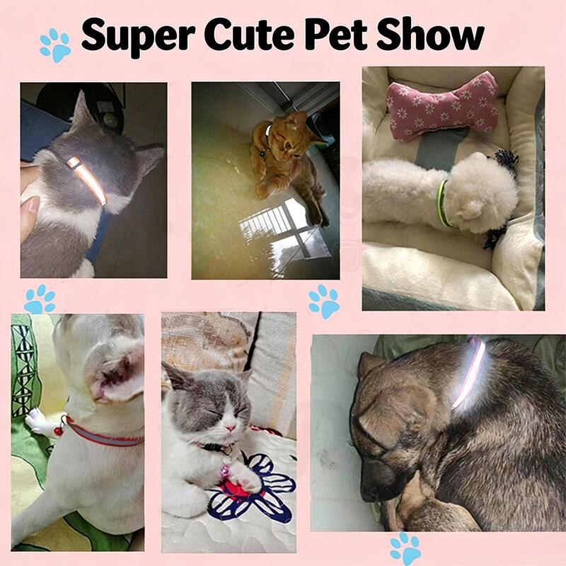 Pet Collar Reflective Safety Buckle Collar Bell Round Ear Cat Dog Collar Glowing Collar
