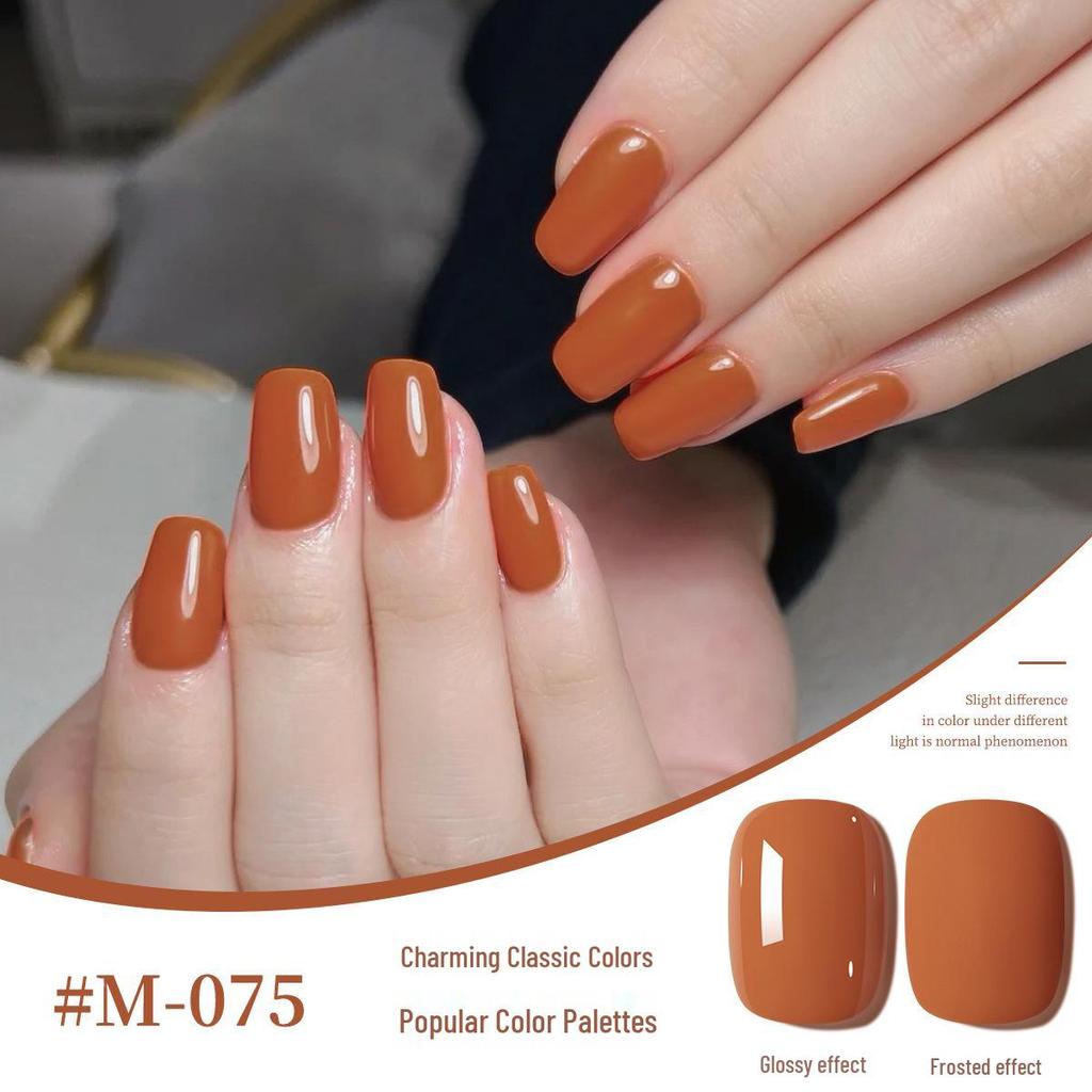 2025 New Japanese Colors UV/LED Nail Gel Set for Salon Manicure