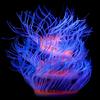 Glass Aquariums Ornament Noctilucent SeaAnemone Fishtanks Glowing Landscapes