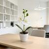 Butterfly Orchid Artificial Flower Pot With Realistic 3d Printing For Home Decor And Photography