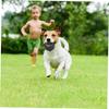 1pc Durable Dog Chew Wheel Toy - Chew-Resistant Design Interactive Sound Teeth Training Play Supplies, Suitable for Puppies