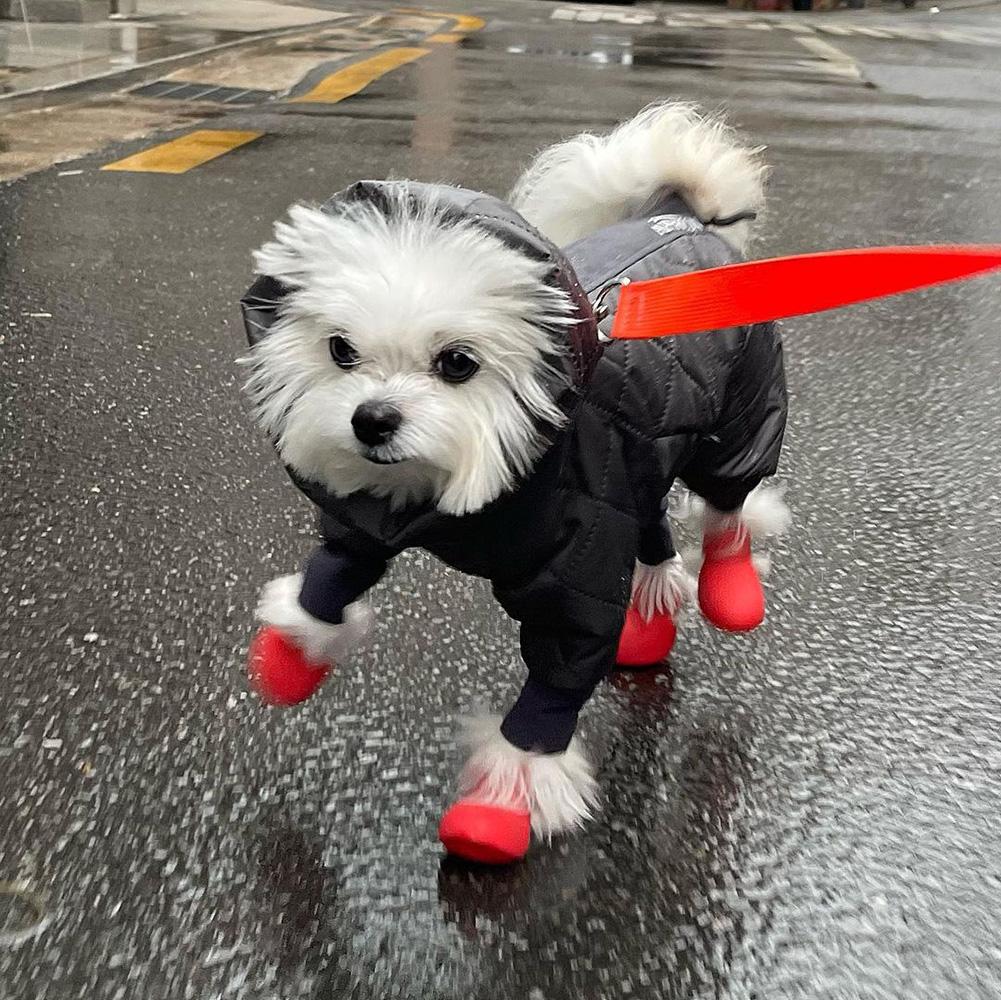 Silicone Dog Boots Waterproof Anti-Slip Pet Shoes 2pcs Paw Protectors All Weather Cute Dog Walking Shoes