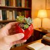 Durable 3D Printed Irregular Heart-Shaped Succulent Planter, Balcony Garden Desktop Decor Pot