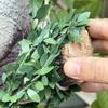 7.5/30M Artificial Ivy Plant Green Leaf Vine Iron Wire Wisteria Garland DIY Fake Leaves Creeper Hanging Leaves Home Garden Decor