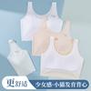 Fixed Cup Underwear Student Junior High School Student High School Student Development Girl Bra Thin Seamless Sports Vest Tube Top