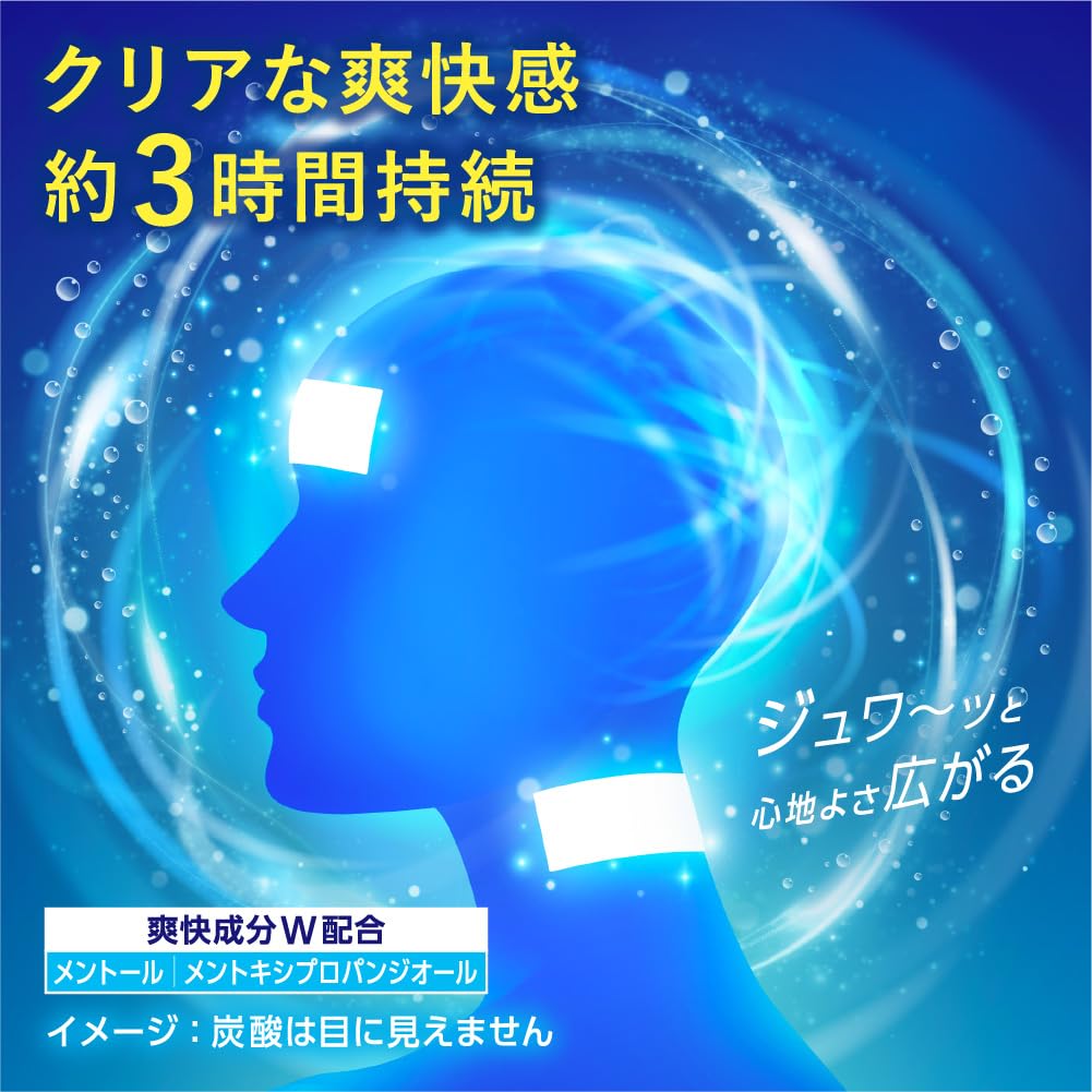 MegRhythm Carbonated Gel Pack for Head Neck 6 Sheets X 2 Sets Free Gift & +