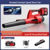 Powerful Cordless Blower CN Plug (adapter Included)